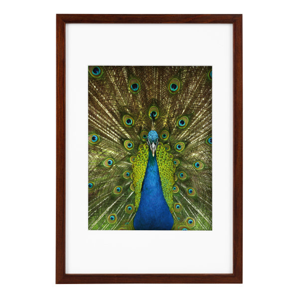 Rėmelis GB 900715 Pino mahagoni 20x30/15x20| medinis