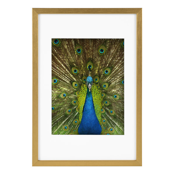 Rėmelis GB 900815 Pino gold 20x30/15x20| medinis