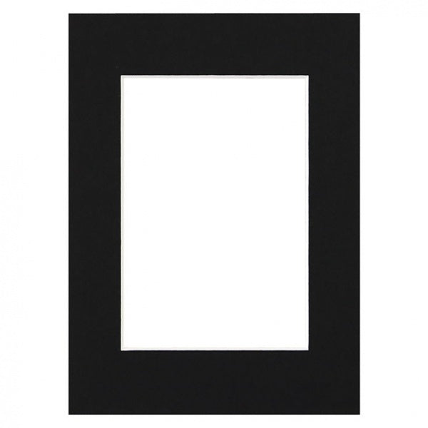 Pasportas 21x29,7/15x21 juodas [V]