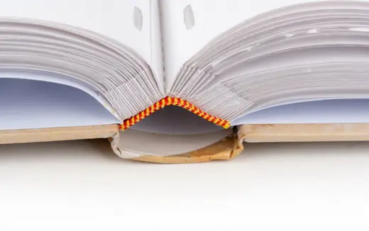 Albumas FANDY B46500/5 GINKO-2 10x15 500 | kišeninis | knyginio rišimo